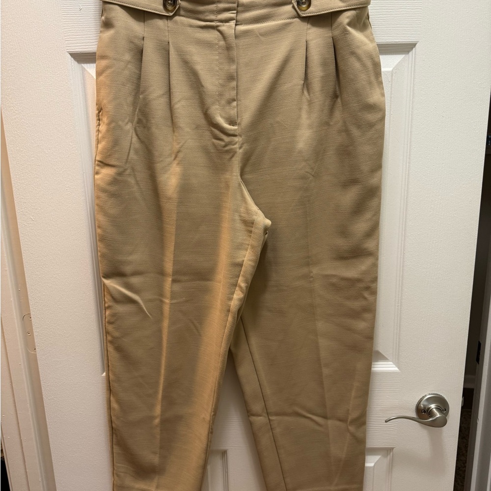 Ann Taylor Classic Beige Trousers